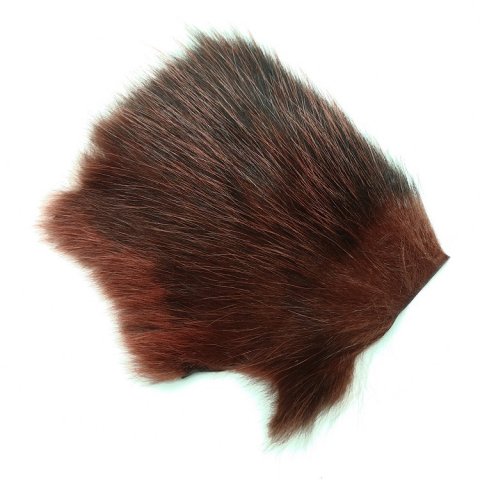 Opossum brun