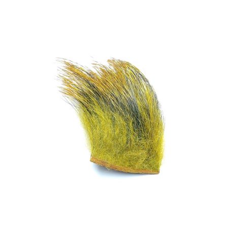 Vildsvine brster Sunburst