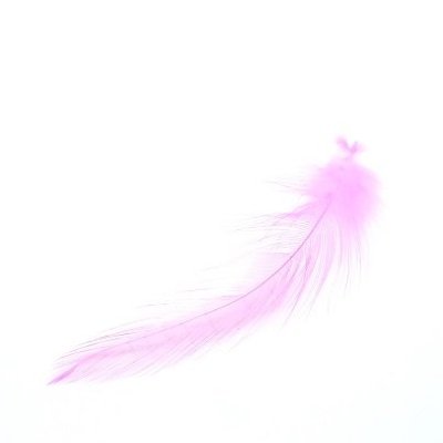 Hane fjer pink