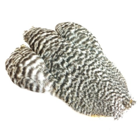 Whiting 4b Hne nakke - mrk grizzly